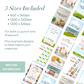 Launch Asset Templates